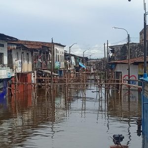 Visita Mercado de Belén